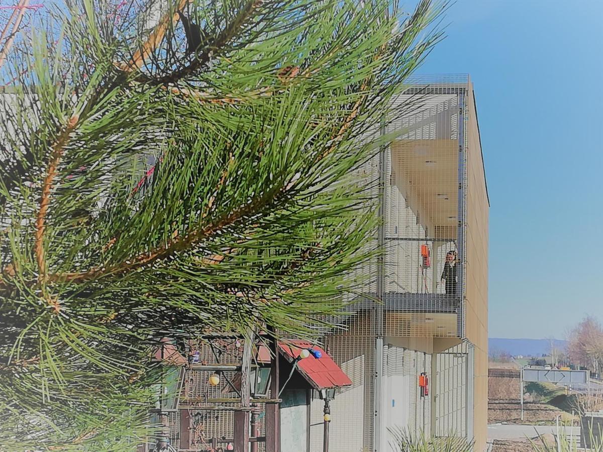 Hotel & Restaurant Alte Molkerei Koelleda Εξωτερικό φωτογραφία
